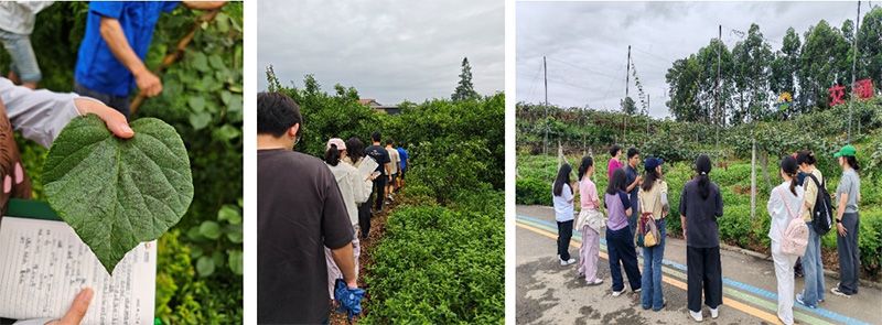 首個(gè)！中國農業(yè)大學(xué)攜手新朝陽(yáng)啟動(dòng)“朝陽(yáng)稼穡計劃”