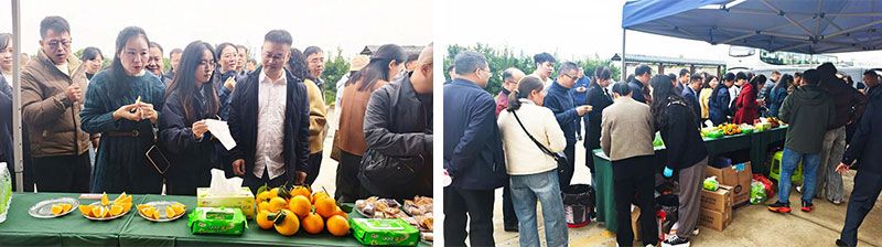 新朝陽(yáng)生物技術(shù)助力綠色防控，推動(dòng)柑橘產(chǎn)業(yè)綠色高質(zhì)量發(fā)展