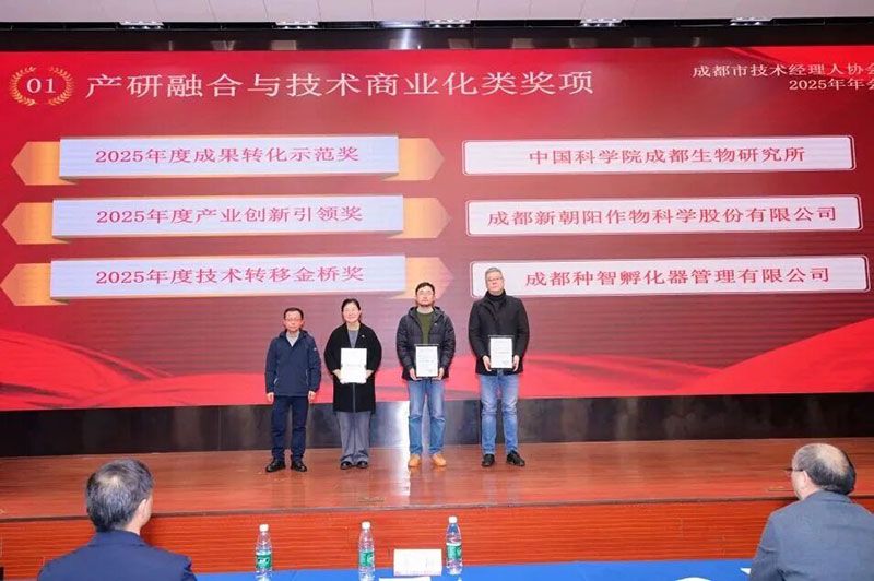 新朝陽(yáng)榮獲成都市技術(shù)經(jīng)理人協(xié)會(huì )“2025年度產(chǎn)業(yè)創(chuàng  )新引領(lǐng)獎”